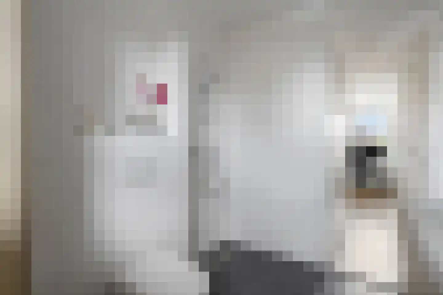 Adriaan Anthoniszstraat 9 Zwaag thumbnail 34