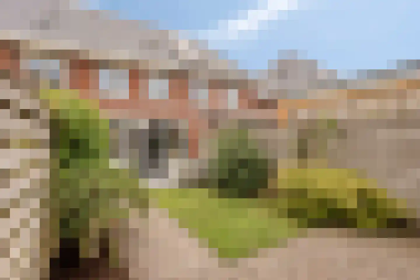 Adriaan Anthoniszstraat 9 Zwaag thumbnail 39