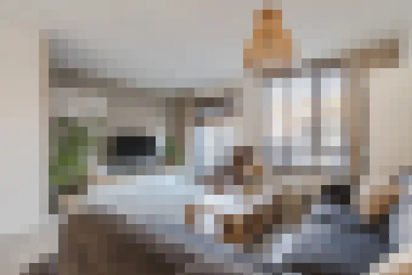 Adriaan Antoniszoonstraat 12 Deventer thumbnail 13