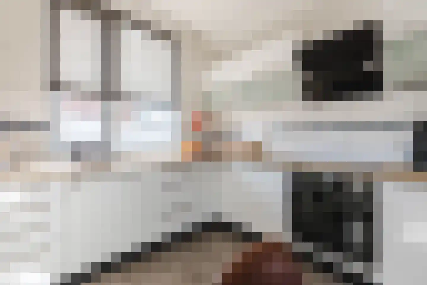 Adriaan Antoniszoonstraat 12 Deventer thumbnail 18