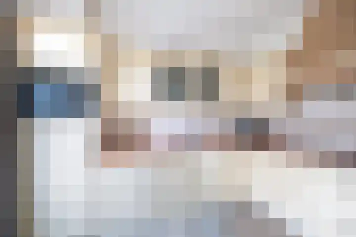 Adriaan Banckertsingel 25 's-Hertogenbosch thumbnail 14