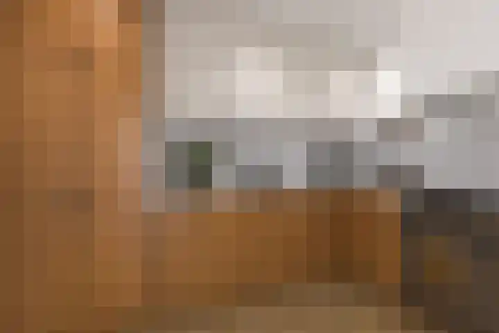 Adriaan Banckertsingel 25 's-Hertogenbosch thumbnail 15