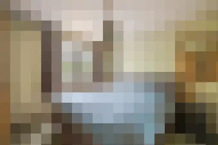 Adriaan Banckertsingel 25 's-Hertogenbosch thumbnail 22