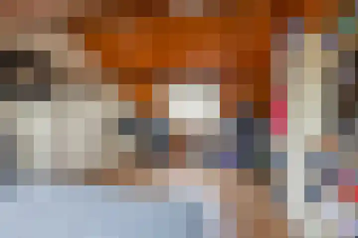 Adriaan Banckertsingel 25 's-Hertogenbosch thumbnail 28