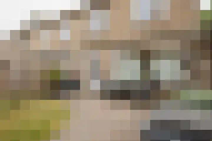 Adriaan Banckertsingel 25 's-Hertogenbosch thumbnail 30