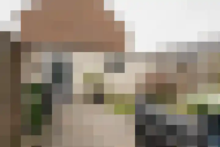 Adriaan Banckertsingel 25 's-Hertogenbosch thumbnail 31