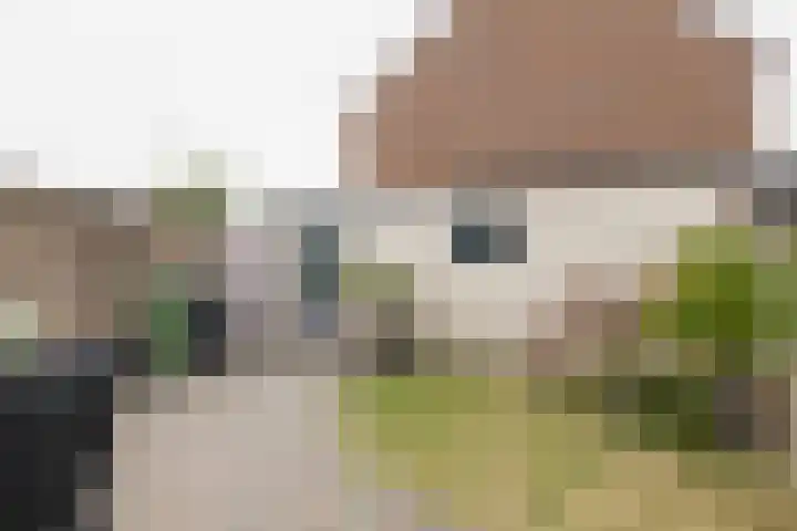 Adriaan Banckertsingel 25 's-Hertogenbosch thumbnail 32