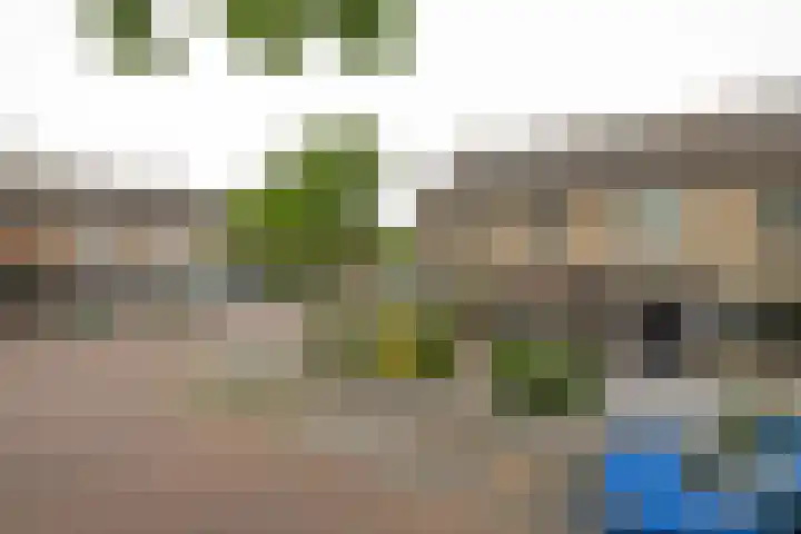 Adriaan Banckertsingel 25 's-Hertogenbosch thumbnail 7
