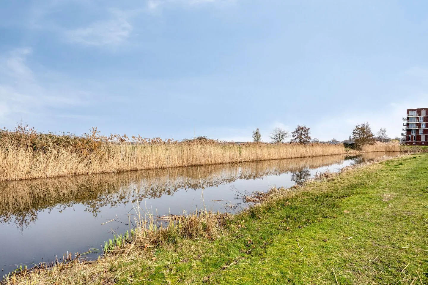 Adriaan Blommestraat 12 Breda thumbnail 28