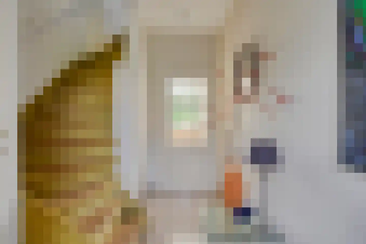 Adriaan Boutlaan 39 Lieshout thumbnail 12