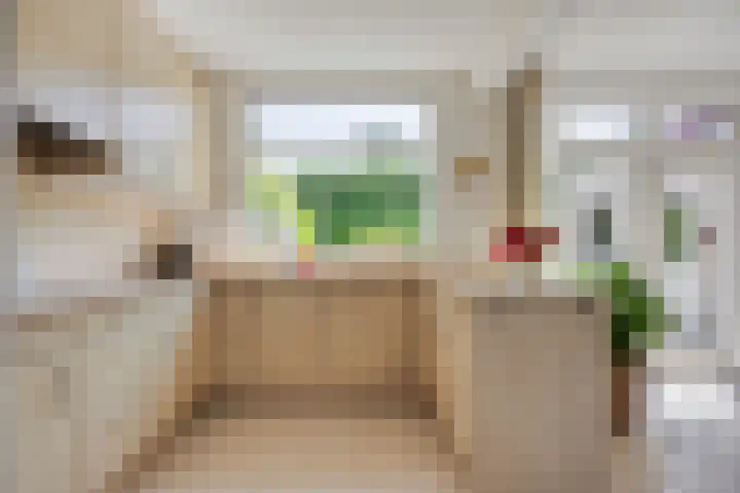 Adriaan Boutlaan 39 Lieshout thumbnail 4