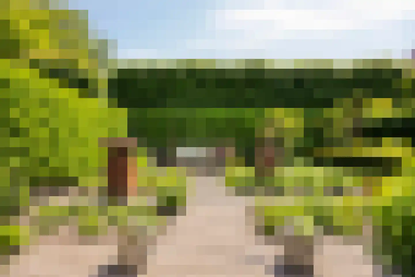 Adriaan Boutlaan 39 Lieshout thumbnail 5