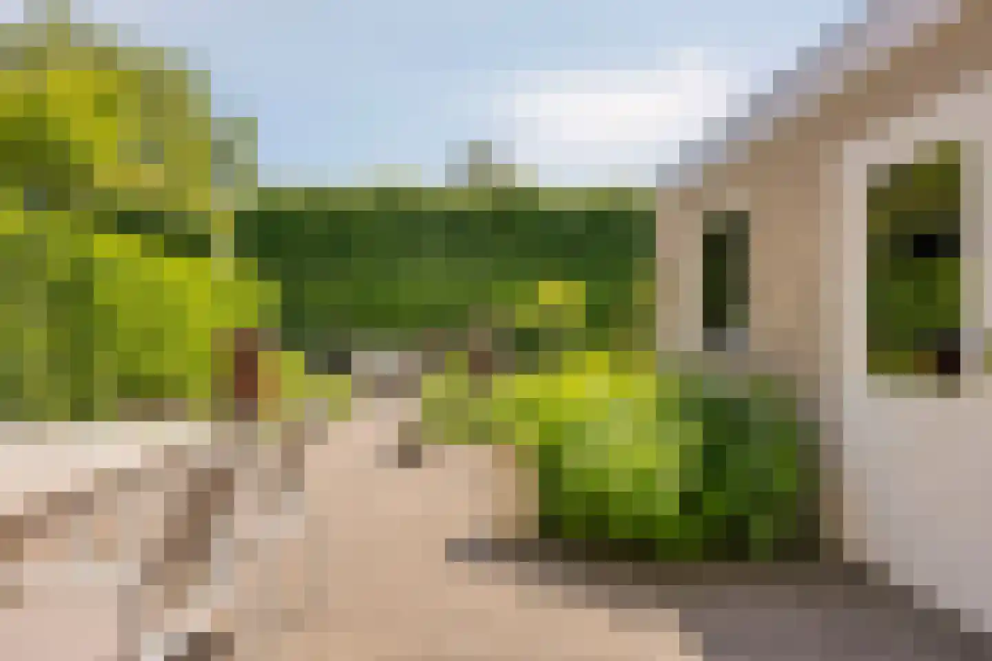 Adriaan Boutlaan 39 Lieshout thumbnail 55
