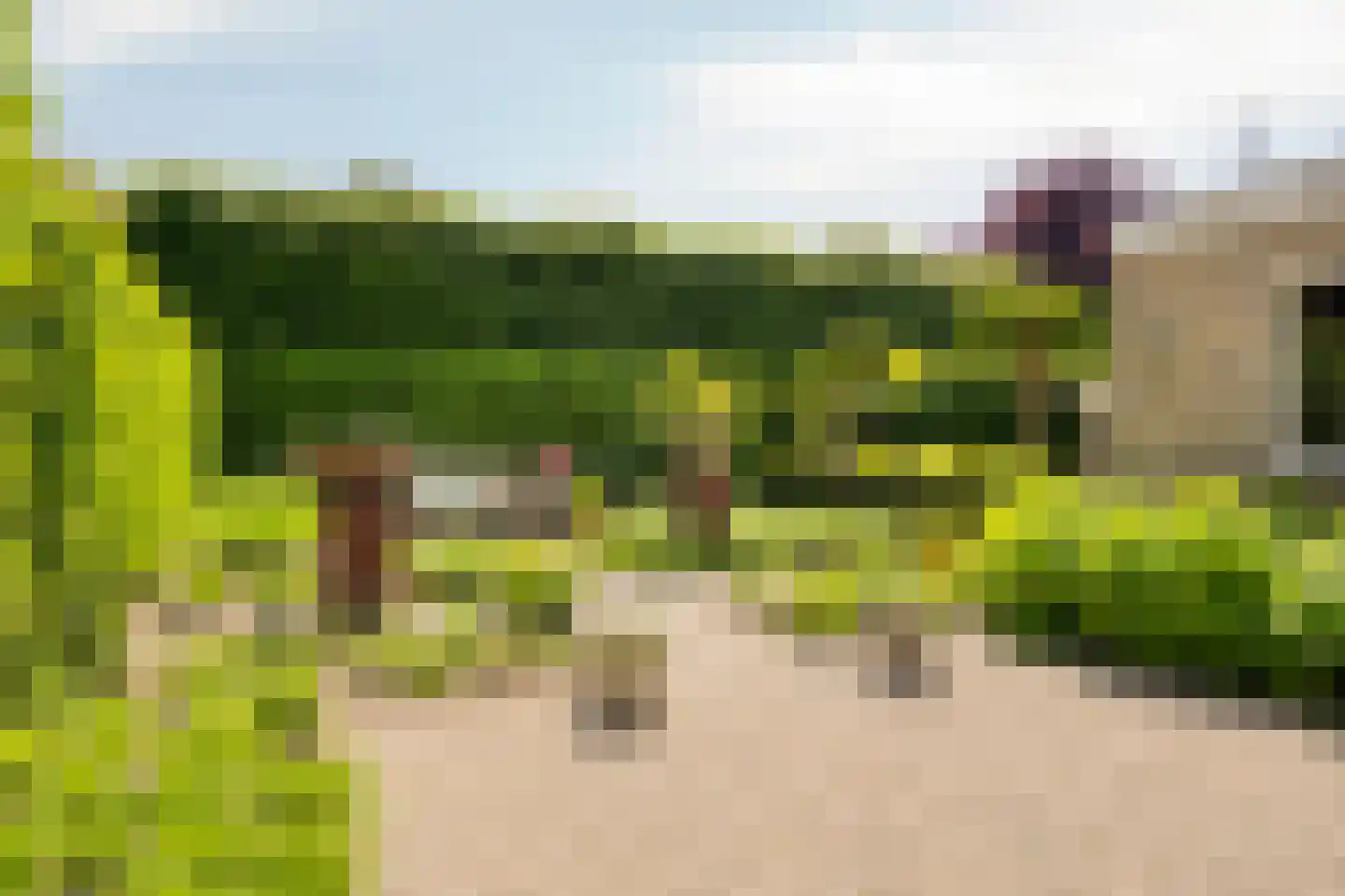 Adriaan Boutlaan 39 Lieshout thumbnail 58