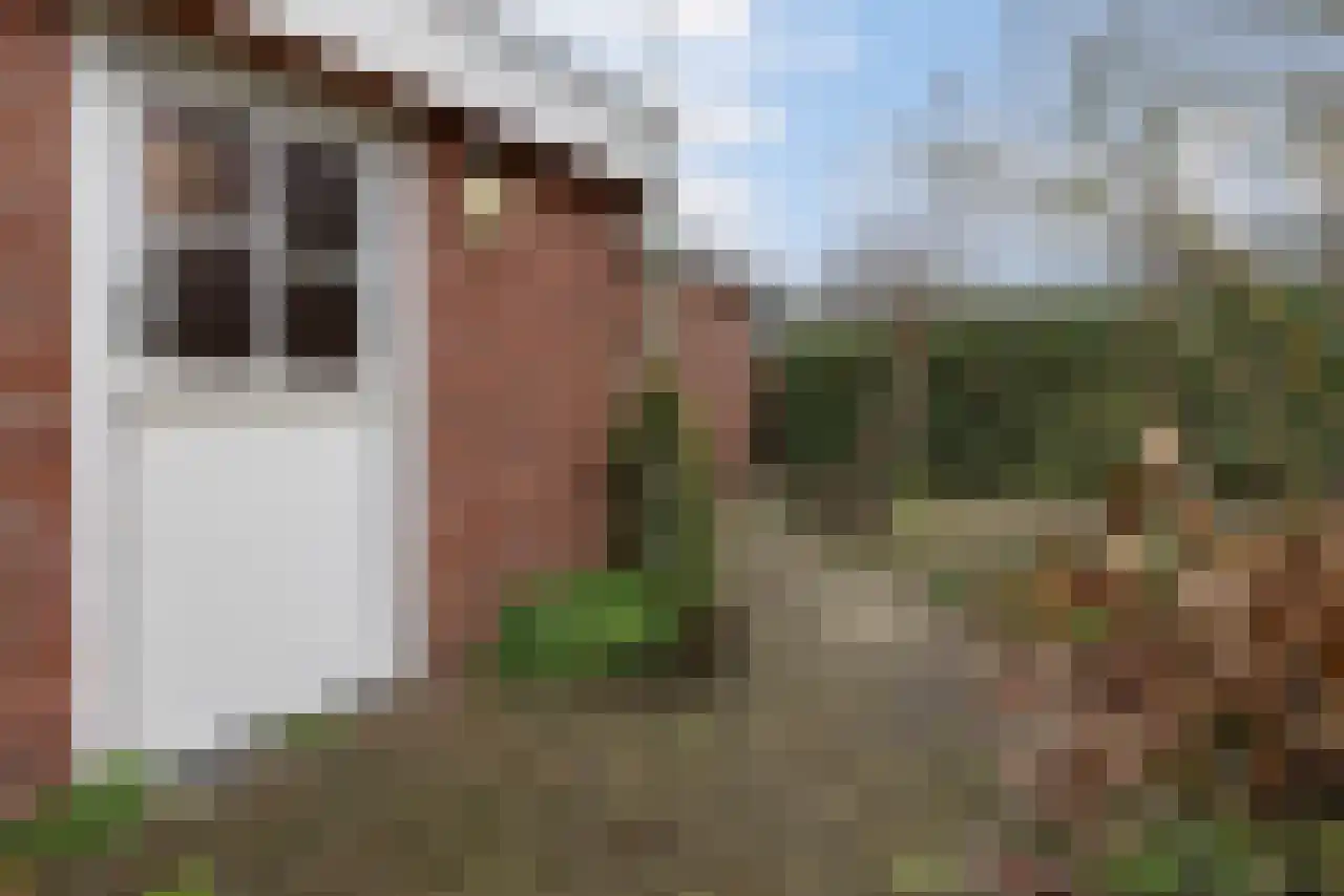 Adriaan Brouwerstraat 12 Bergen op Zoom thumbnail 34