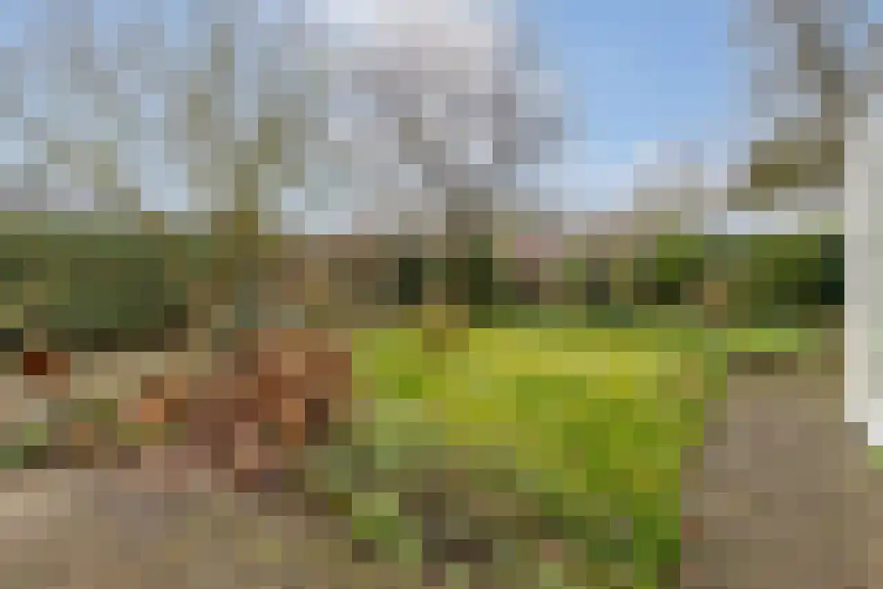 Adriaan Brouwerstraat 12 Bergen op Zoom thumbnail 36