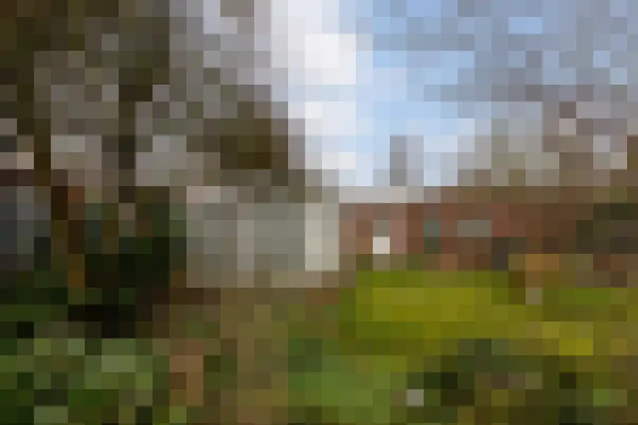 Adriaan Brouwerstraat 12 Bergen op Zoom thumbnail 37