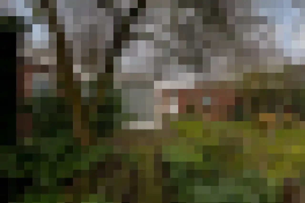 Adriaan Brouwerstraat 12 Bergen op Zoom thumbnail 40