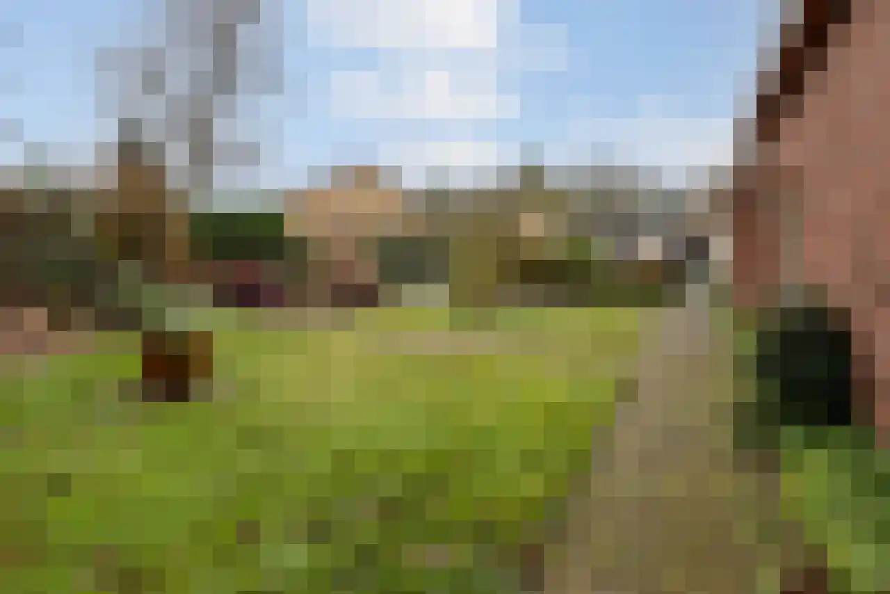 Adriaan Brouwerstraat 12 Bergen op Zoom thumbnail 42