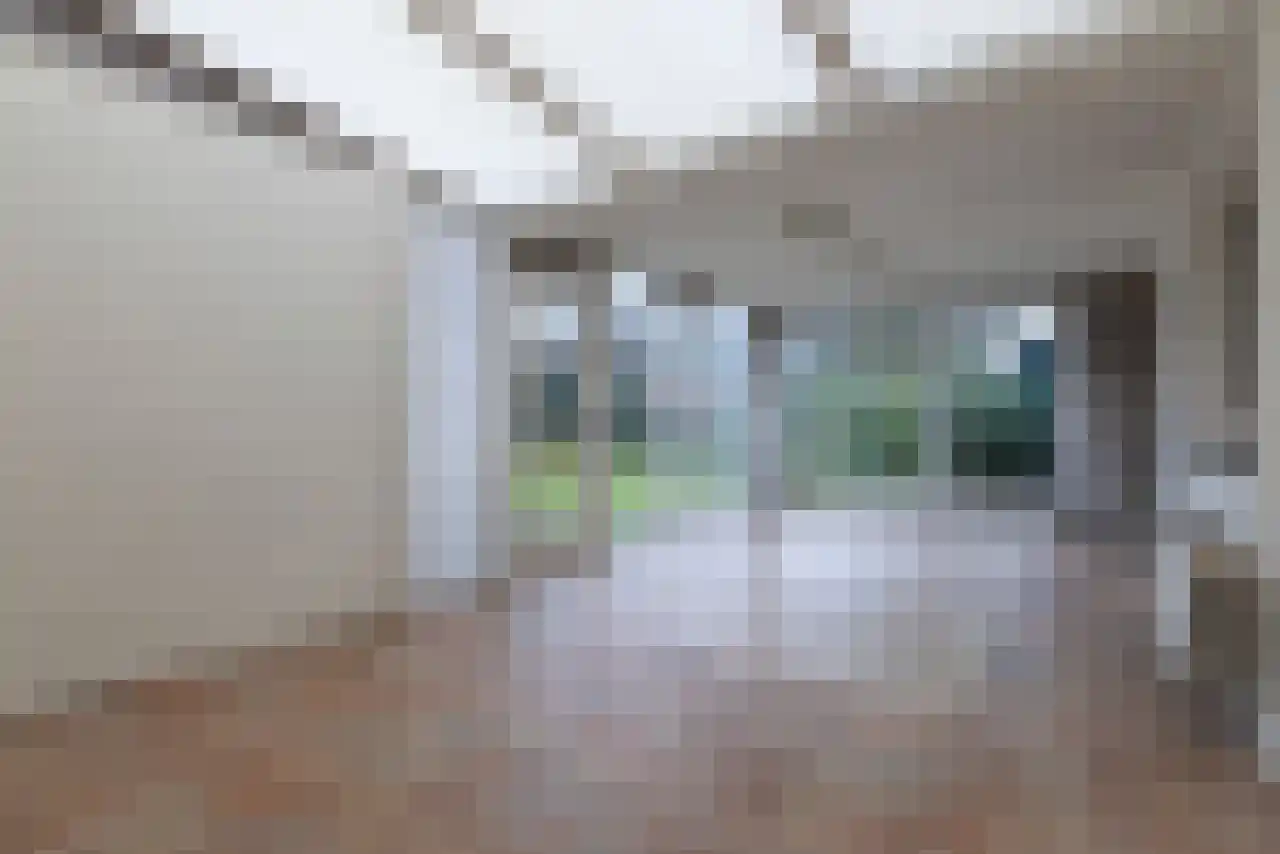 Adriaan Brouwerstraat 12 Bergen op Zoom thumbnail 9