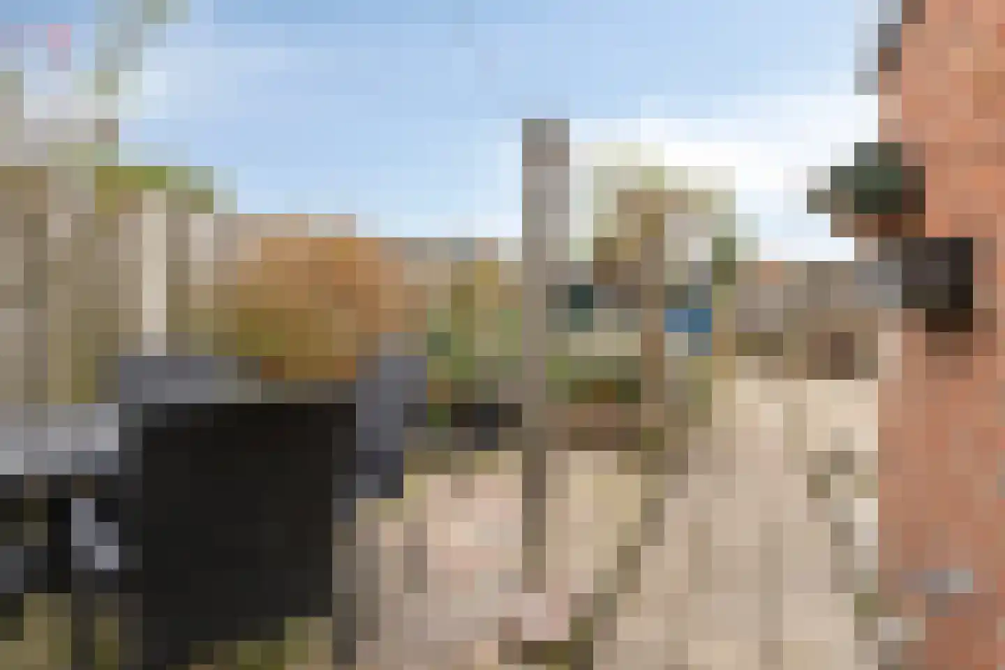 Adriaan Butijnweg 20 Rilland thumbnail 30
