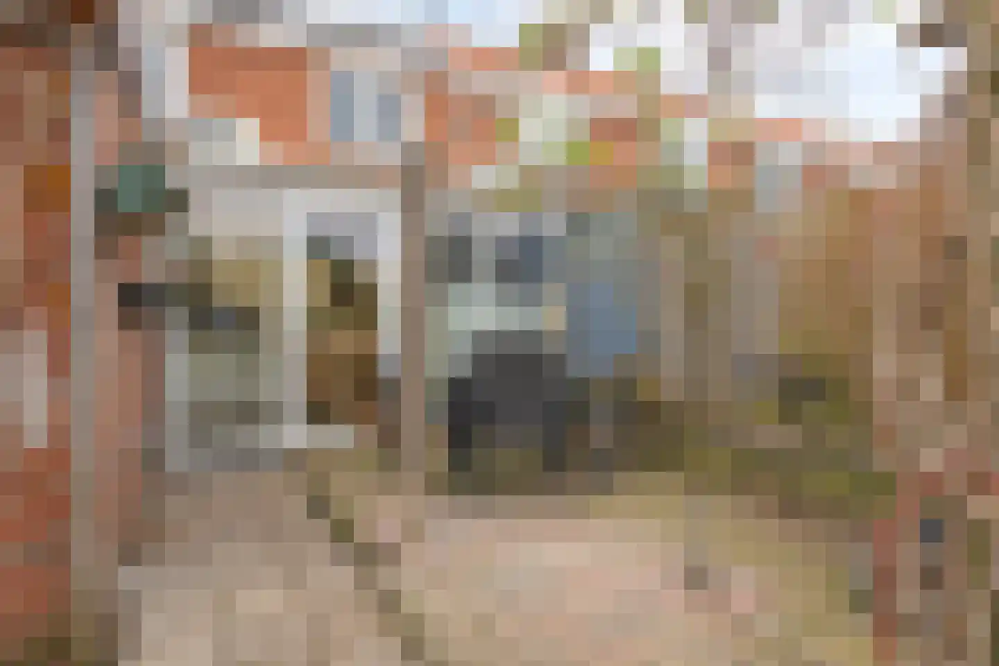 Adriaan Butijnweg 20 Rilland thumbnail 34