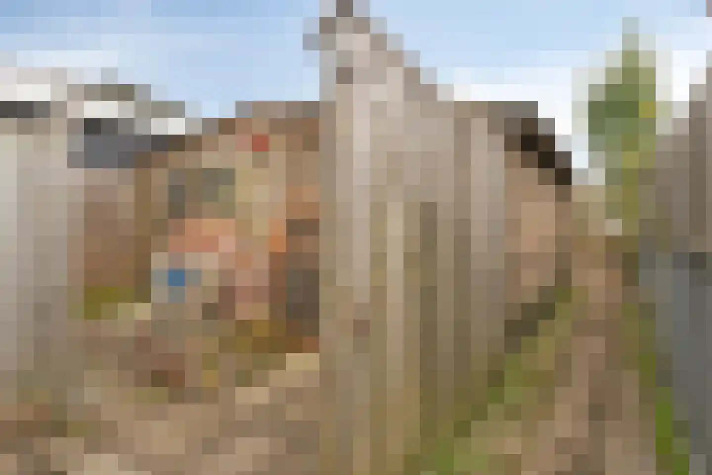 Adriaan Butijnweg 20 Rilland thumbnail 37