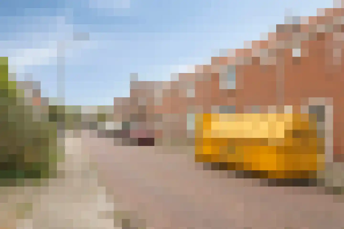Adriaan Butijnweg 20 Rilland thumbnail 43