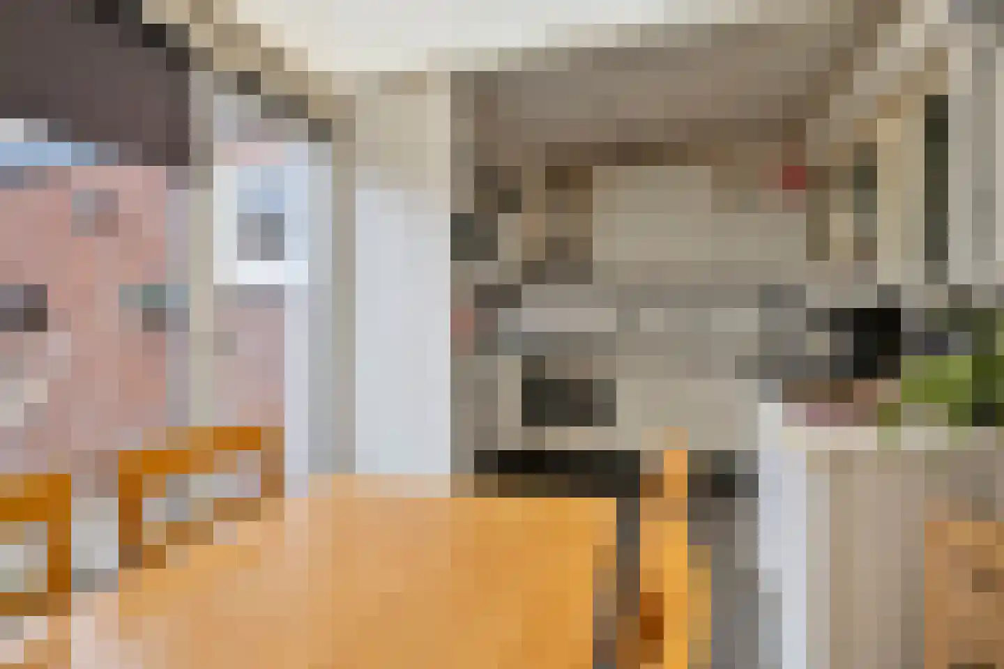 Adriaan Butijnweg 20 Rilland thumbnail 6