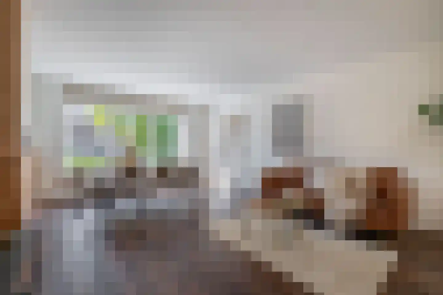 Adriaan Davidsestraat 3 Meliskerke thumbnail 10