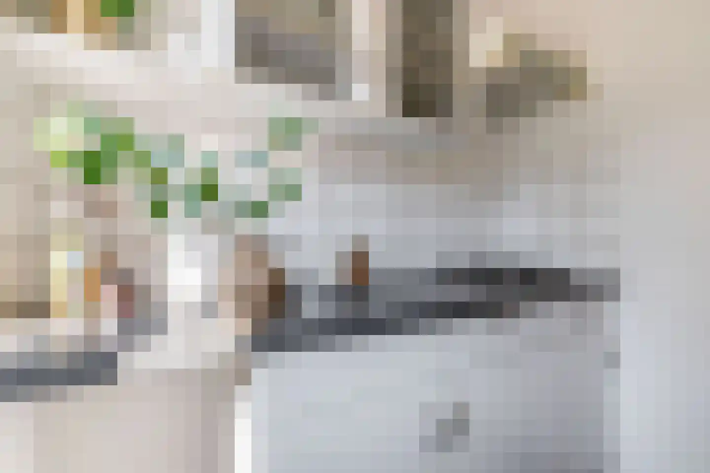 Adriaan Davidsestraat 3 Meliskerke thumbnail 18