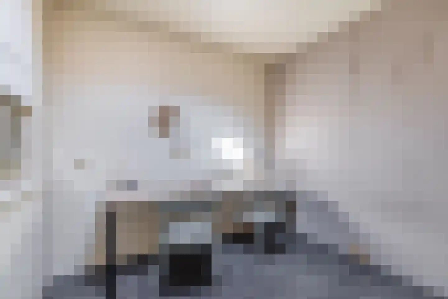 Adriaan Davidsestraat 3 Meliskerke thumbnail 26