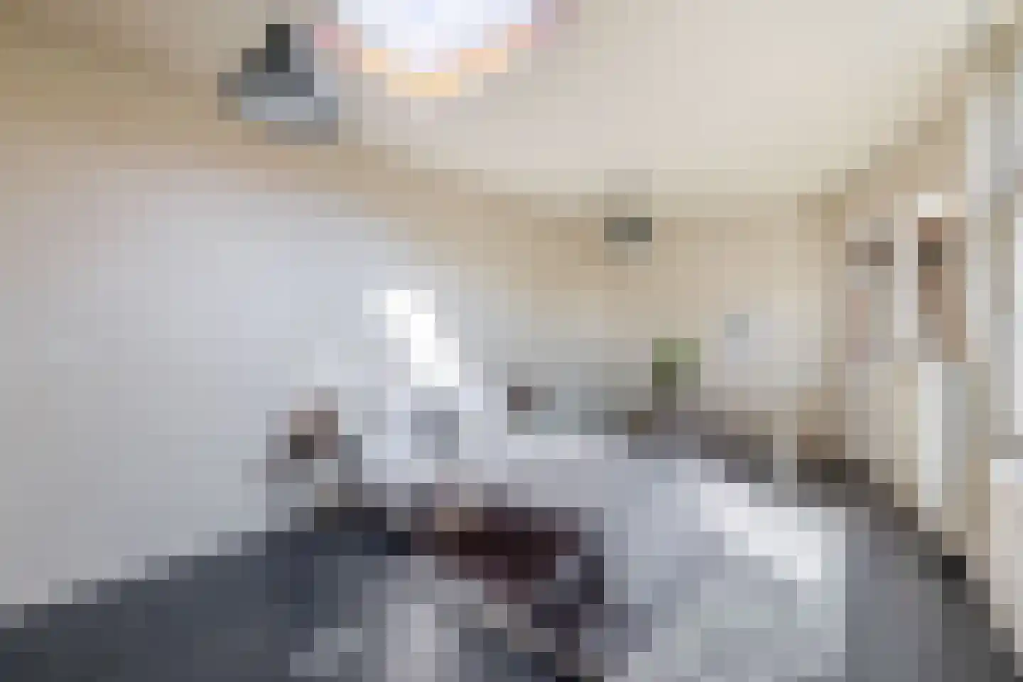 Adriaan Davidsestraat 3 Meliskerke thumbnail 27