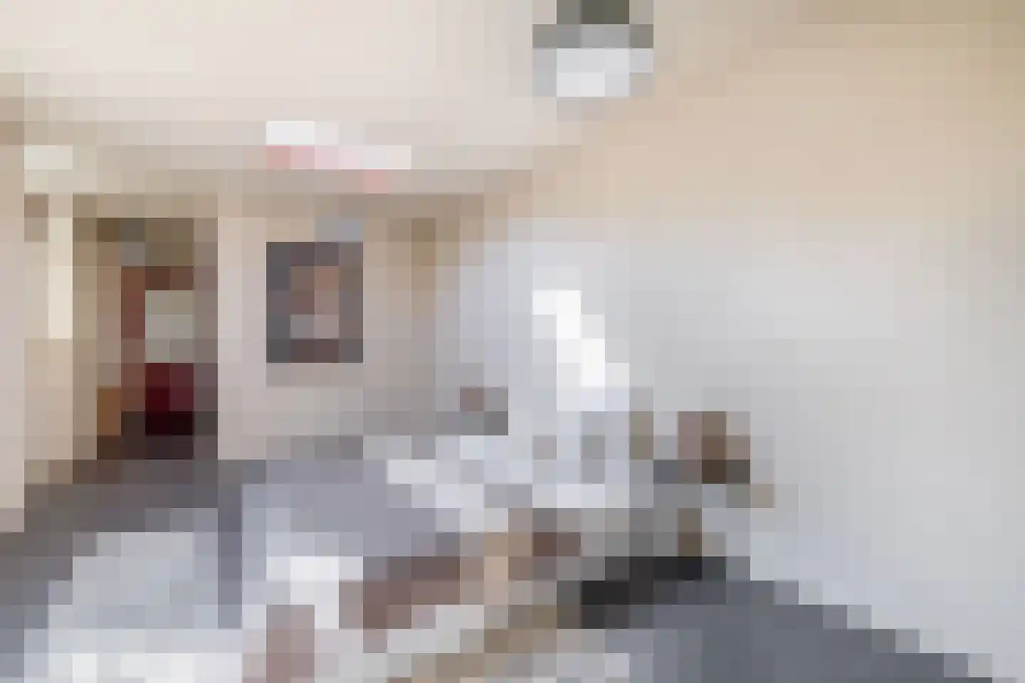 Adriaan Davidsestraat 3 Meliskerke thumbnail 28