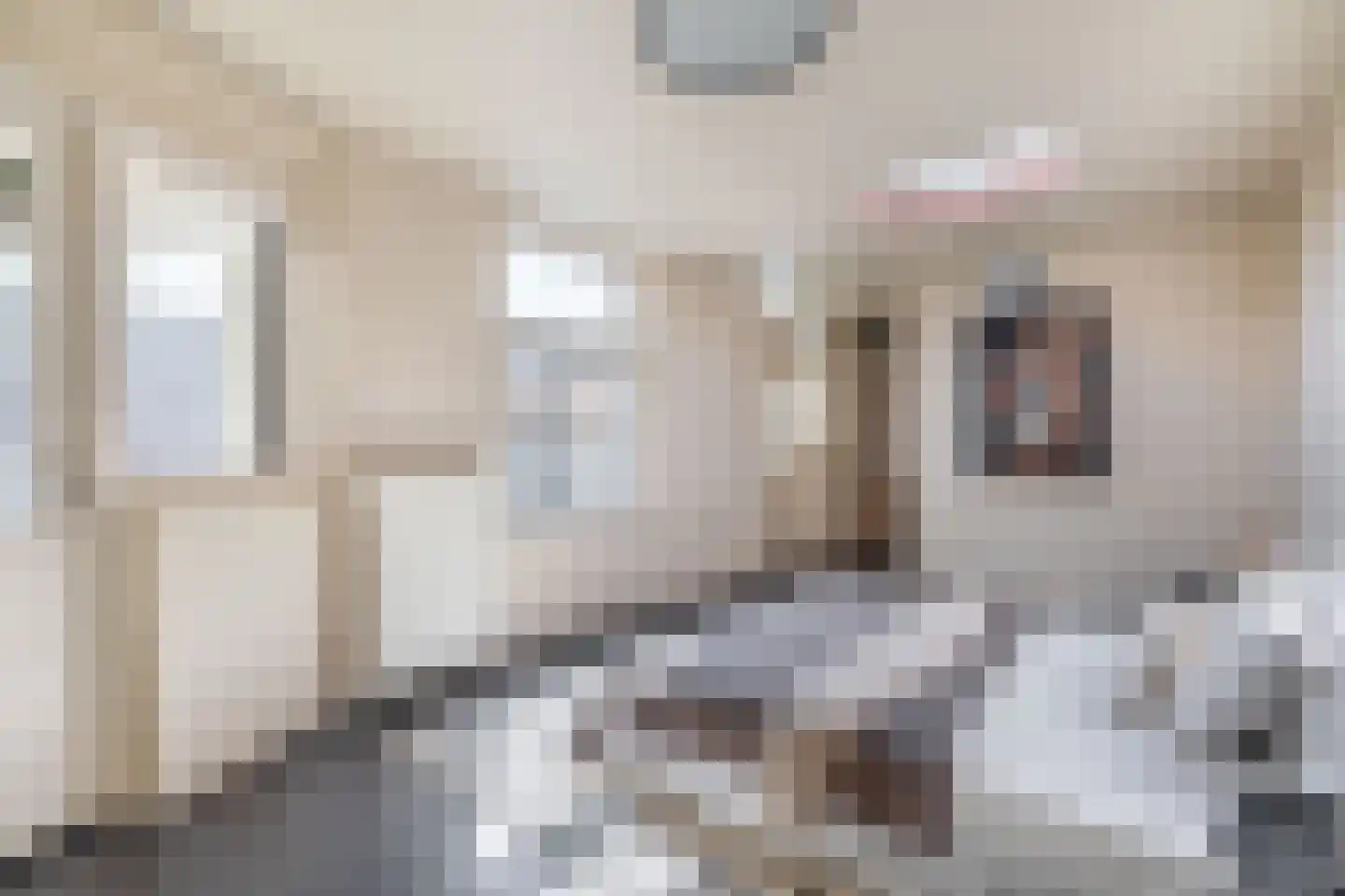 Adriaan Davidsestraat 3 Meliskerke thumbnail 29