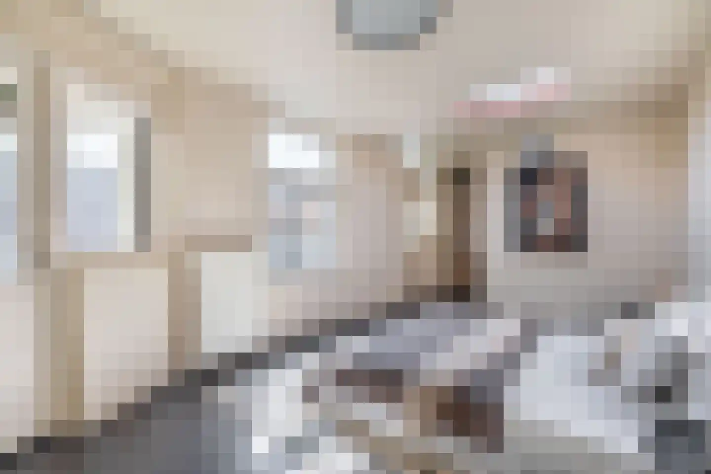 Adriaan Davidsestraat 3 Meliskerke thumbnail 29
