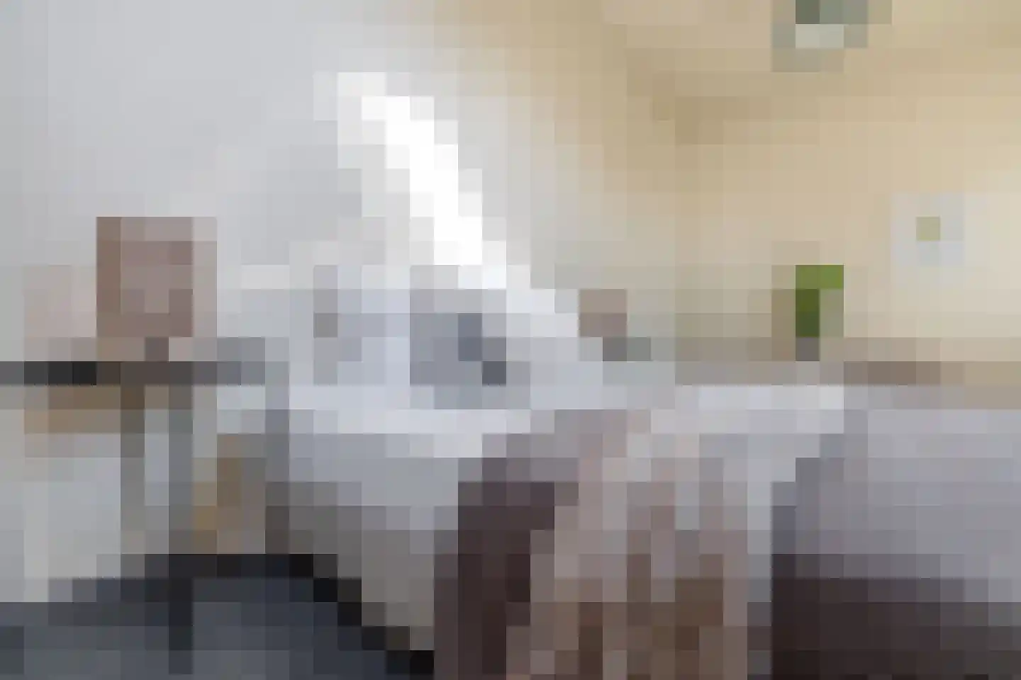 Adriaan Davidsestraat 3 Meliskerke thumbnail 30