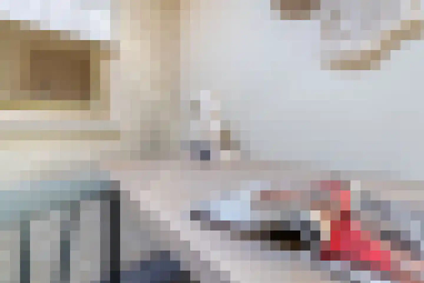 Adriaan Davidsestraat 3 Meliskerke thumbnail 31