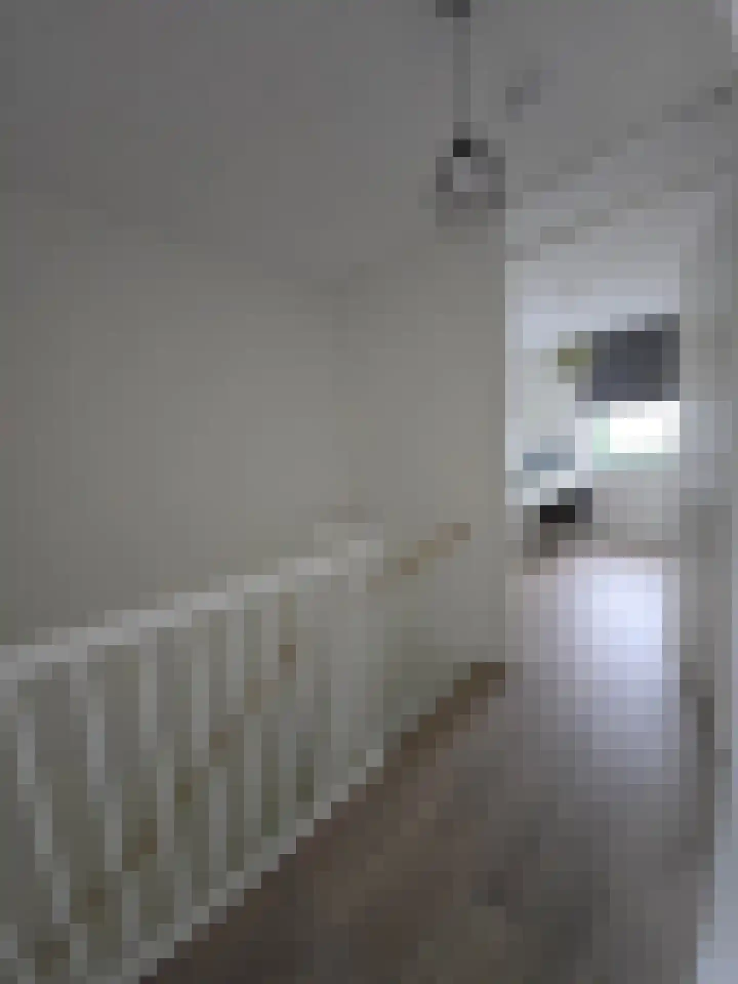 Adriaan de Grootpad 107 Almere thumbnail 13
