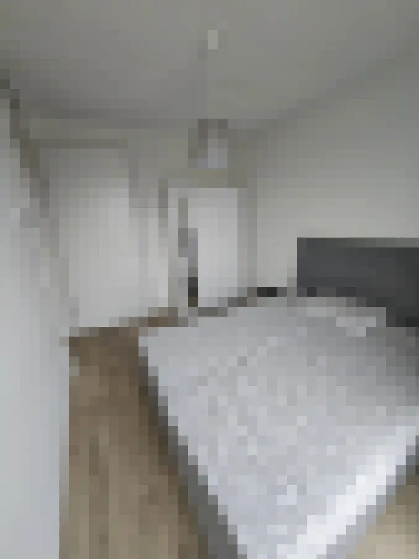 Adriaan de Grootpad 107 Almere thumbnail 16
