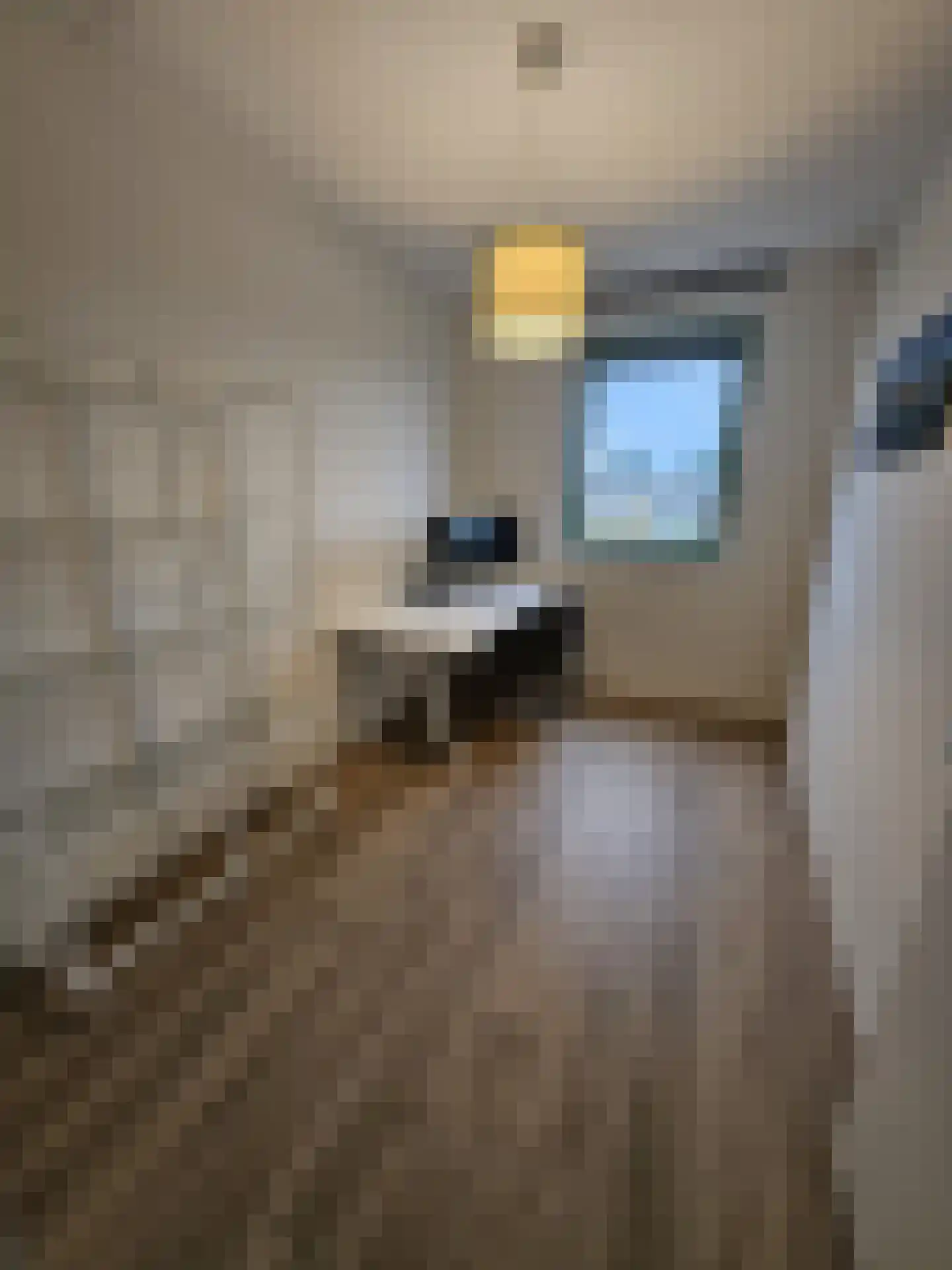 Adriaan de Grootpad 107 Almere thumbnail 17