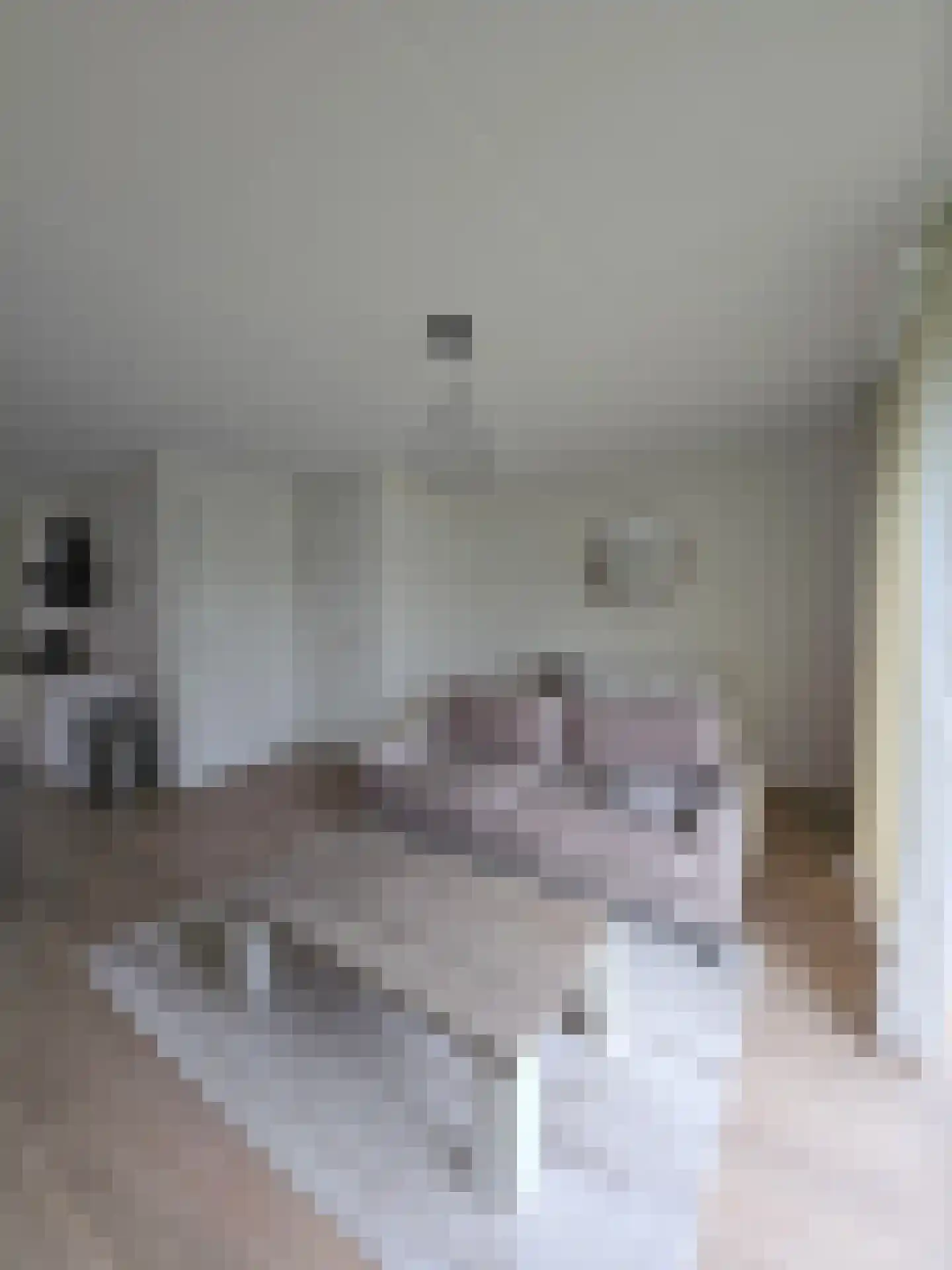 Adriaan de Grootpad 107 Almere thumbnail 8