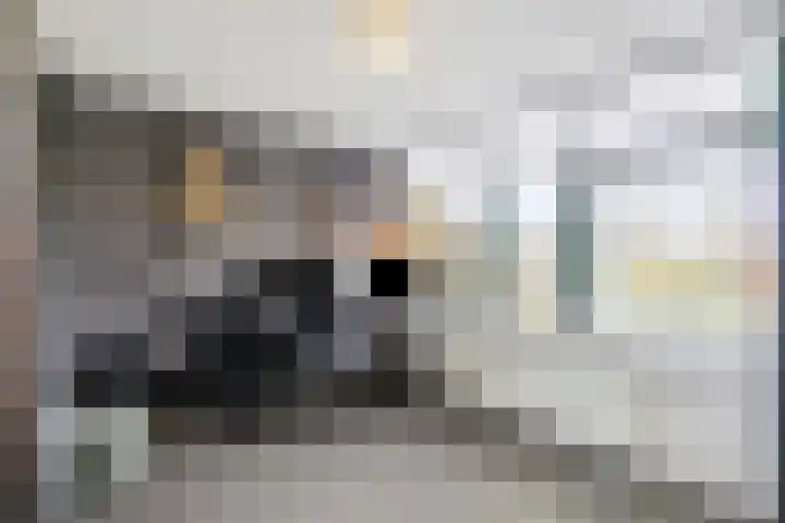 Adriaan de Grootstraat 161 Den Helder thumbnail 15