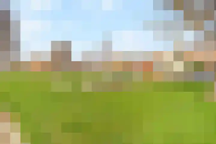 Adriaan de Grootstraat 161 Den Helder thumbnail 26