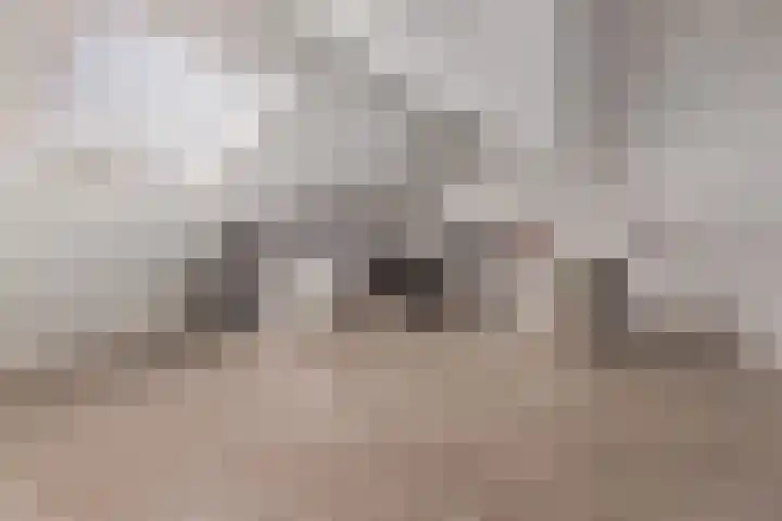 Adriaan de Jongestraat 10 Haarlem thumbnail 25