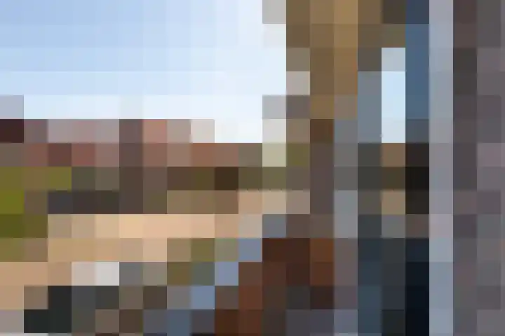 Adriaan de Jongestraat 10 Haarlem thumbnail 26