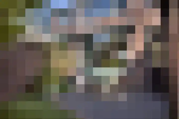 Adriaan de Jongestraat 10 Haarlem thumbnail 27