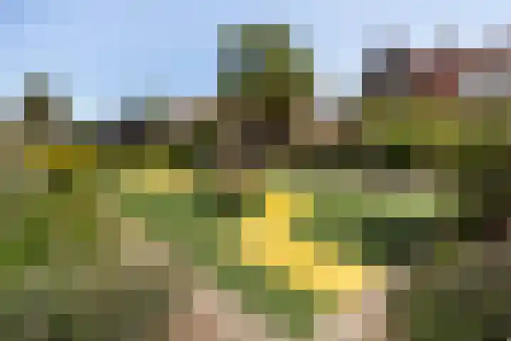 Adriaan de Jongestraat 10 Haarlem thumbnail 35