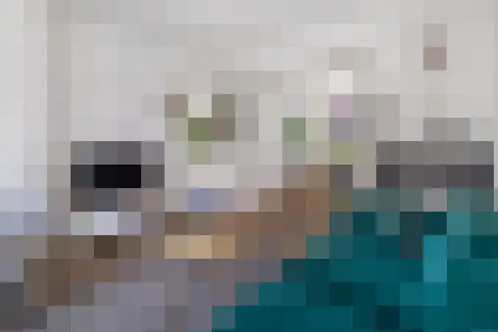 Adriaan de Jongestraat 10 Haarlem thumbnail 6