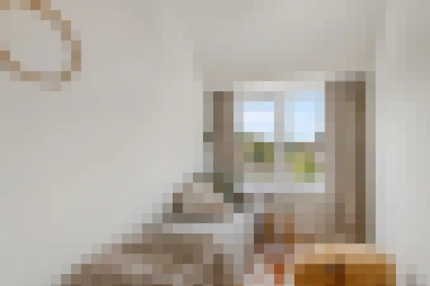 Adriaan de Jongestraat 20 Haarlem thumbnail 21